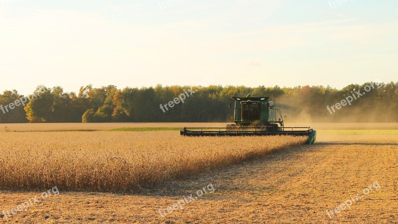 Harvester Harvest Farming Soybean Sunset