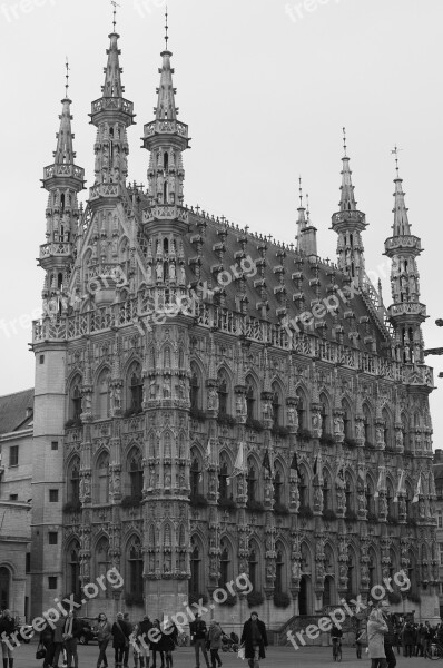 Town Hall Leuven Gothic Building Architecture