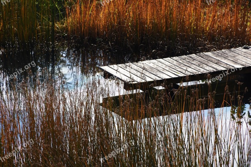 Web Pond Water Autumn Boardwalk