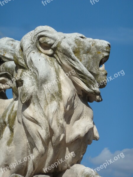 Lion Image Blue Sky Montpellier France