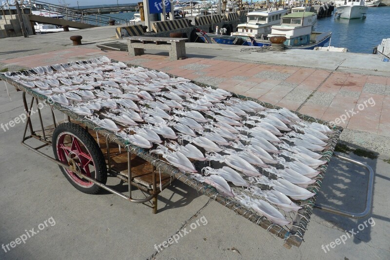 Penghu Sun Flowers White Folk Customs Free Photos