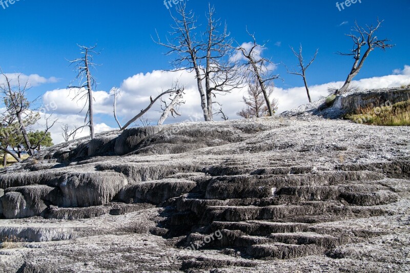 Yellowstone National Park Wyoming Usa Sinter Terassen Volcano