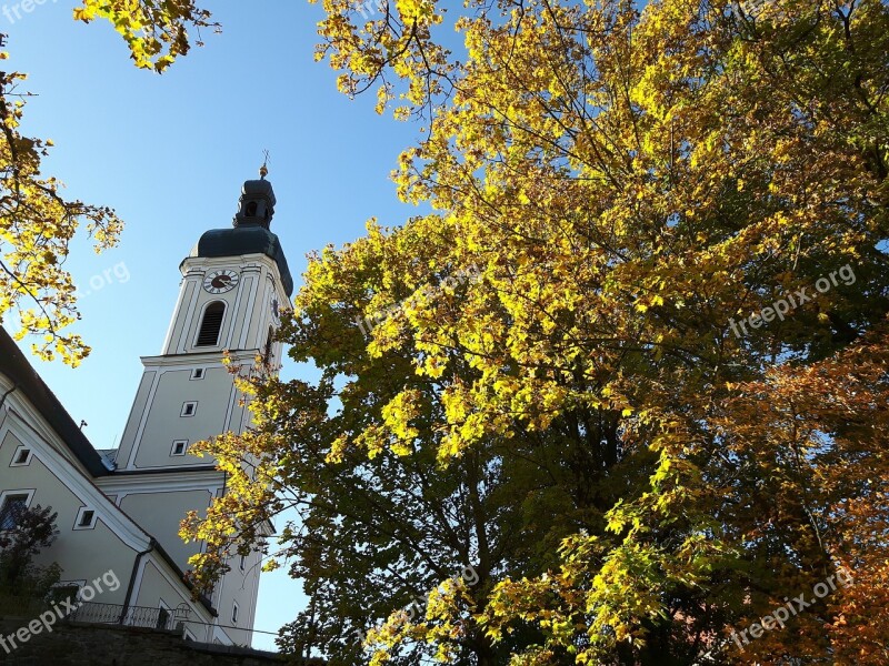 Autumn Leaves Tree Church Sky