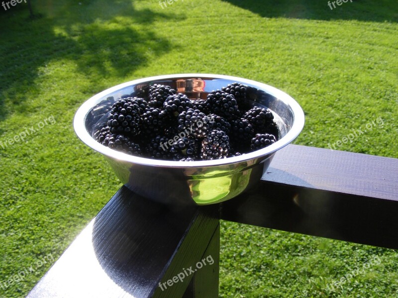 Blackberries Fruit Fruits Garden Vitamins