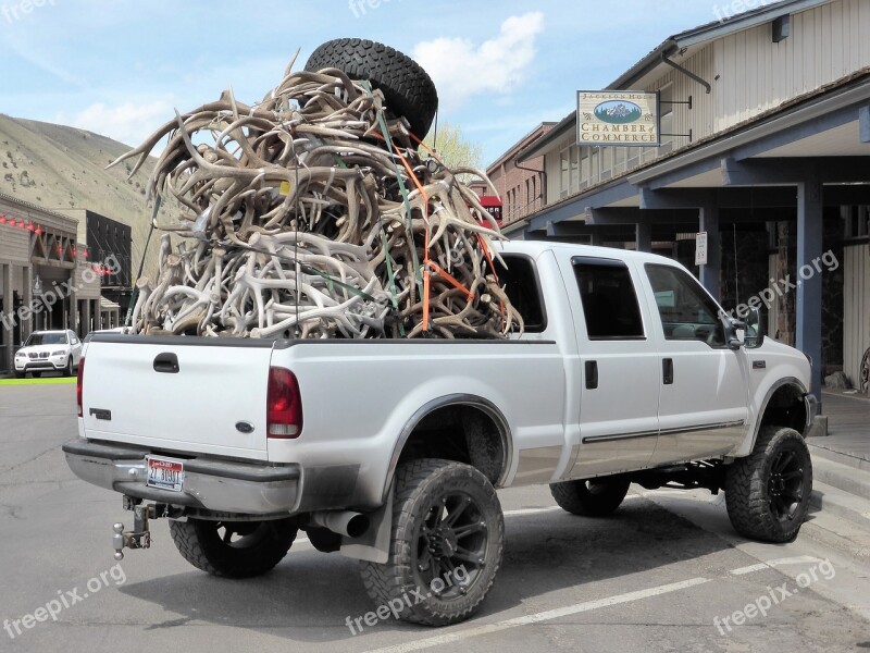 Transport Pickup Antlers Pile Up Full