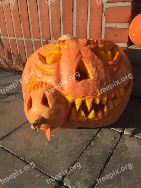 Pumpkin Halloween Pumpkins Broom Still Life