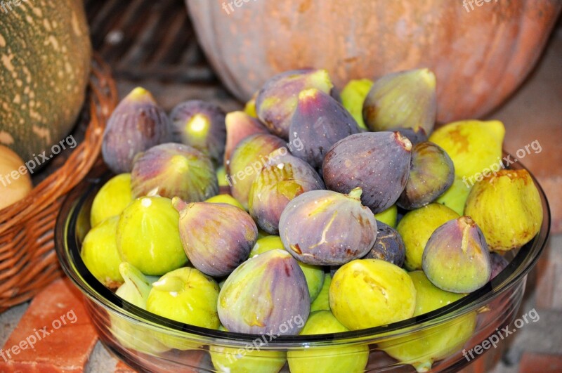 Figs Harvest Fruit Autumn Late Summer