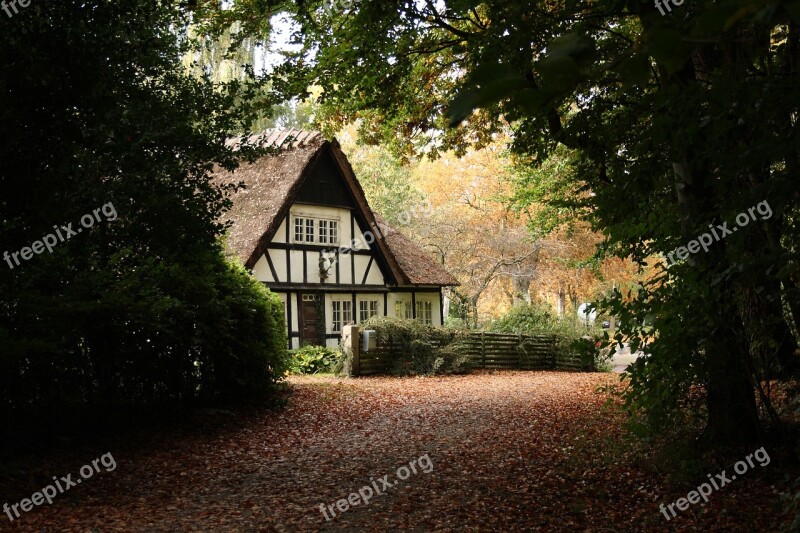 House Timber Frame Thatched Roofs Autumn Kerteminde