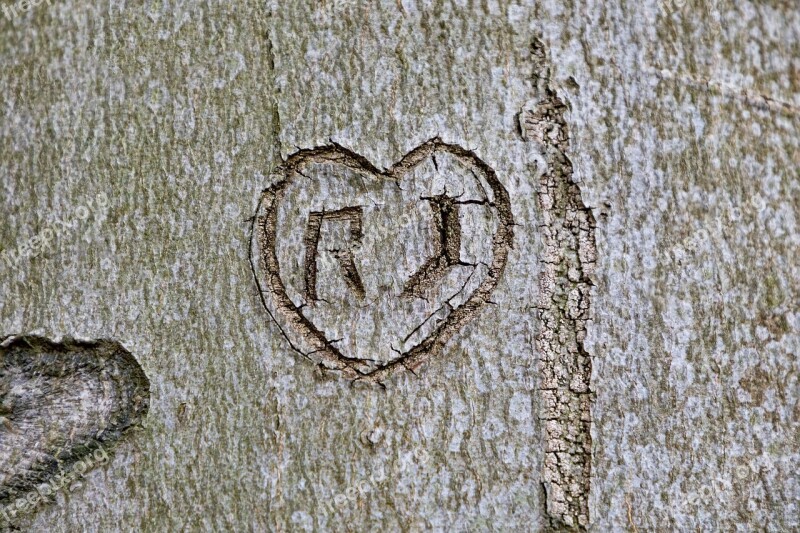 Tree Bark Notch Carved Name