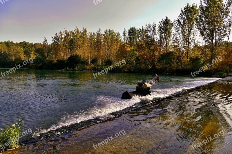 River Fallout Water Nature Trees