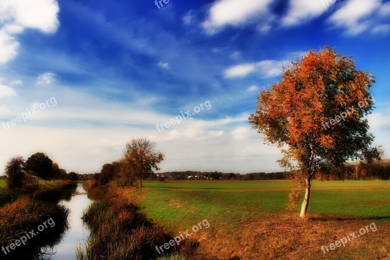 Autumn Tree River Bach All