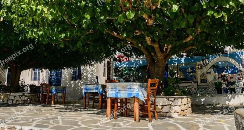 Terrace Restaurant Trees Shady Greece