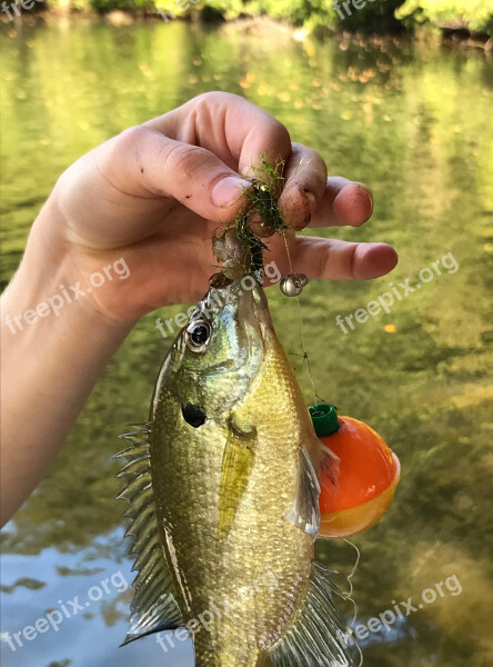 Fish Fishing Hand Bob Fingers