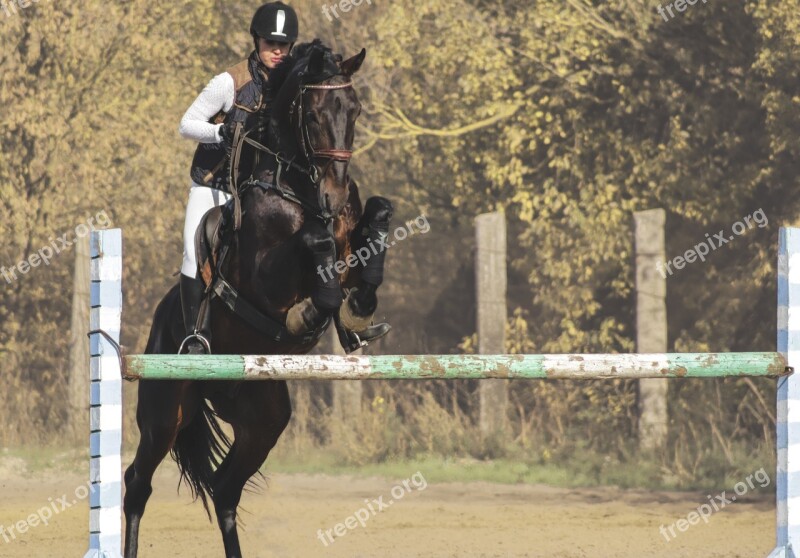 Girl On Horse Races Horsewoman Horse Sports