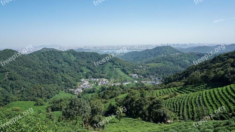 Tea Garden Tea Mountain Village Terrace Outdoor