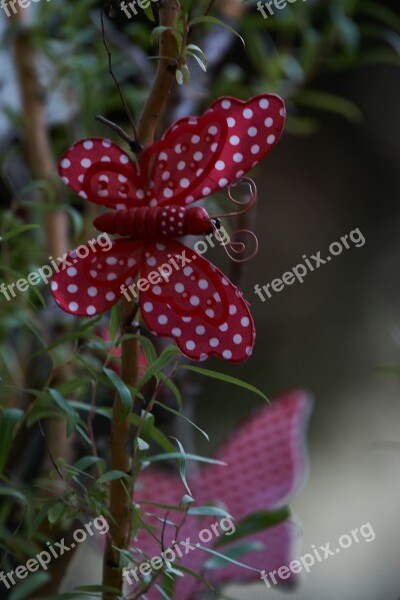 Garden Gartendeko Garden Design Butterfly Free Photos