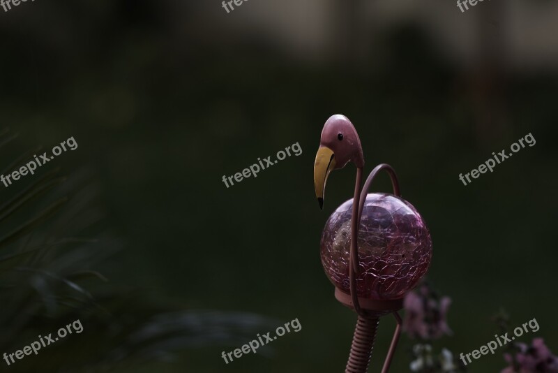 Garden Gartendeko Garden Design Flamingo Free Photos