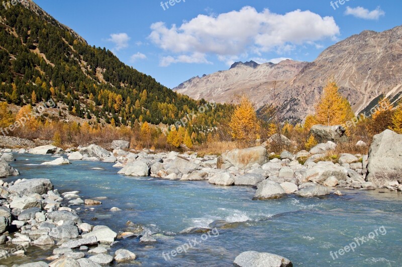 Engadin Autumn Larch Discoloration Mountains Autumn Motives