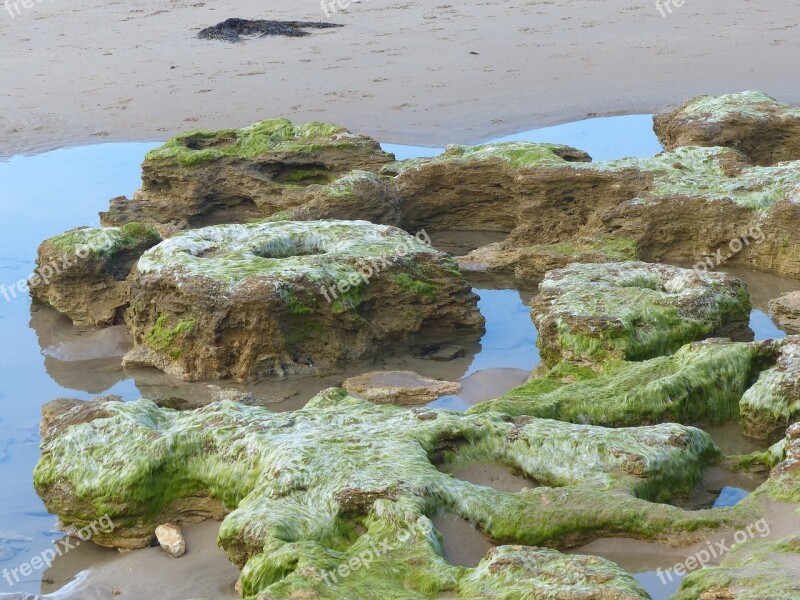 Rock Pools Beach Ocean Rocks Seashore