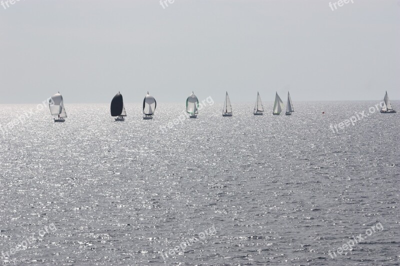 Sails Sea Water Free Photos