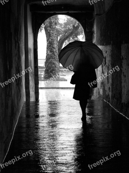 Rain Umbrella Silhouette Door Woman