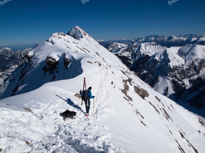 Backcountry Skiiing Dog Mountains Winter Snow