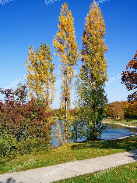 Autumn Landscape Discoloration Nature Free Photos