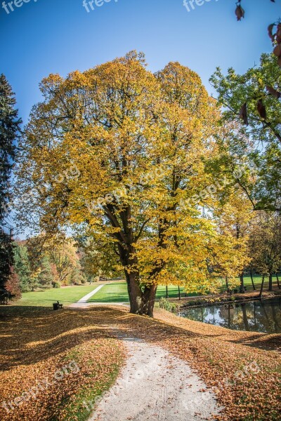 Autumn Leaves Colorful Nature Park