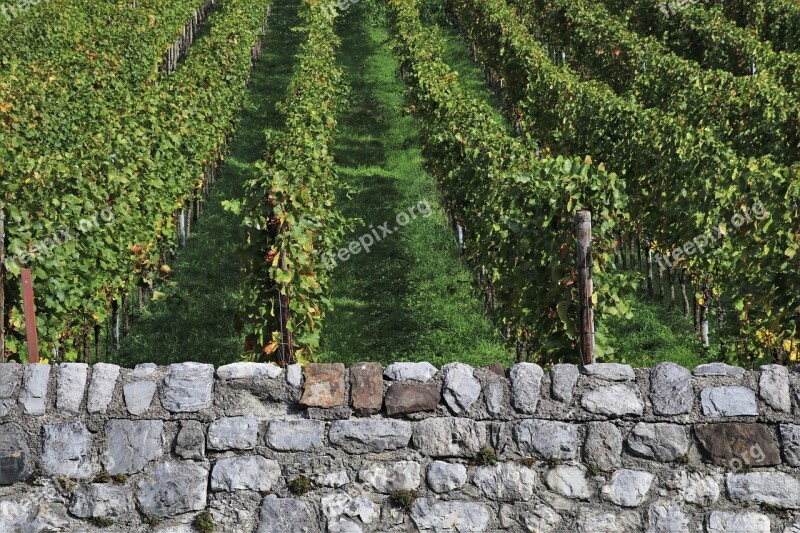 Lake Dusia Vineyard Eco Stone Structure