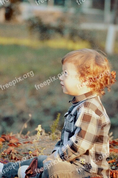 Baby Golden Fall Leaves Lovely