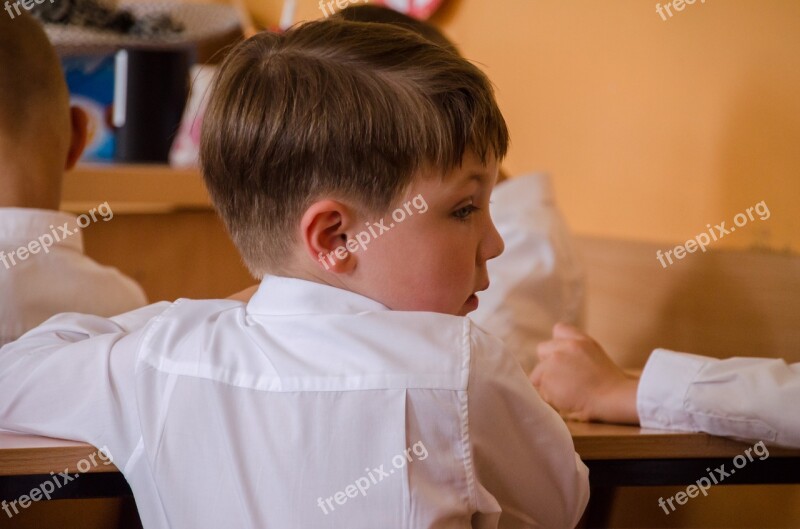 Child School Education Work Desk Science