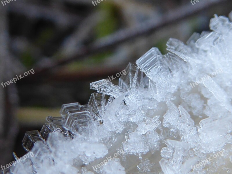 Hoarfrost Frosty Nature Frozen Frost