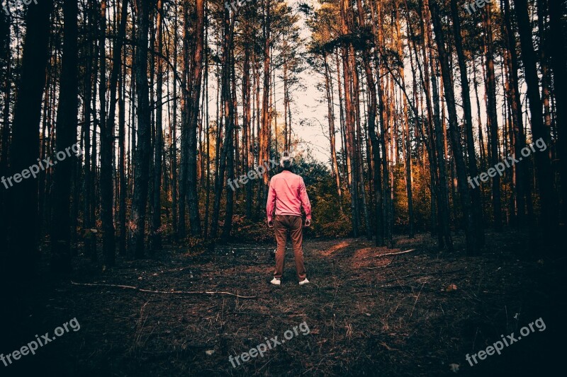 Man A Person People Male Forest