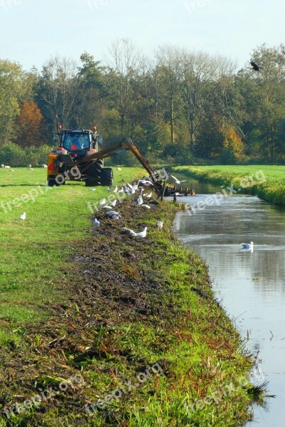 Ditch Dredging Tractor Pasture Landtechnik