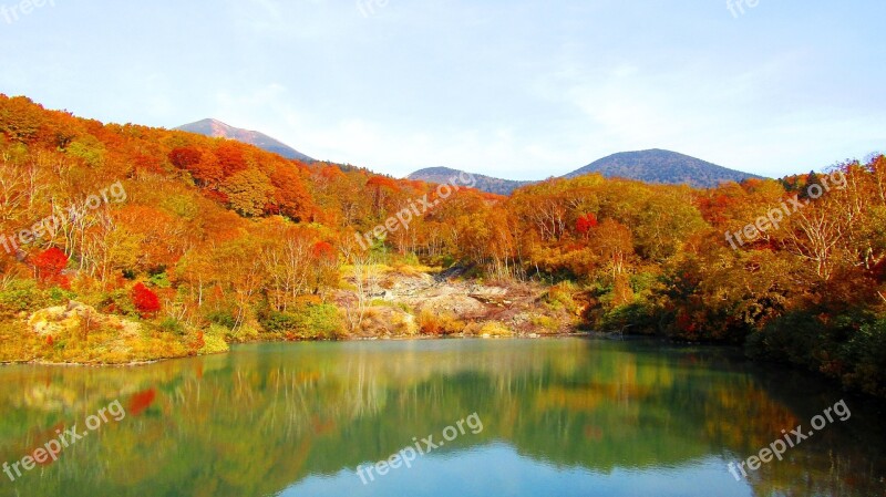 Autumn Sky Autumnal Leaves Cloud Landscape