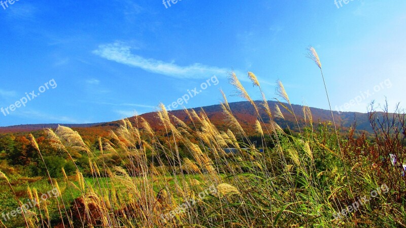 Fall Of Japan Blue Sky Landscape Cloud Japan