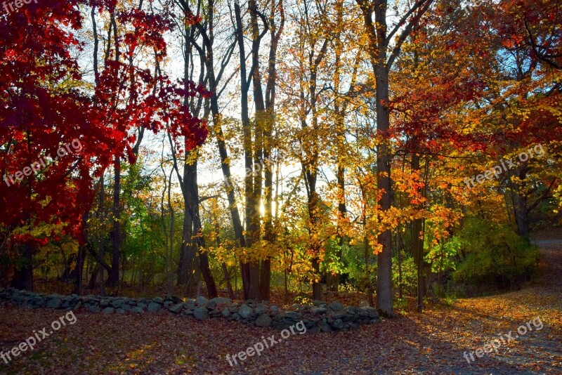 Fall Foliage Color Rock Wall Trees