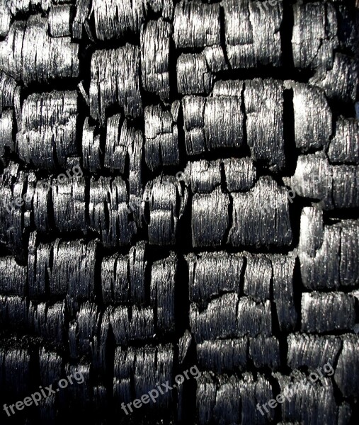 Black Charcoal Burnt Burned Burnt Wood