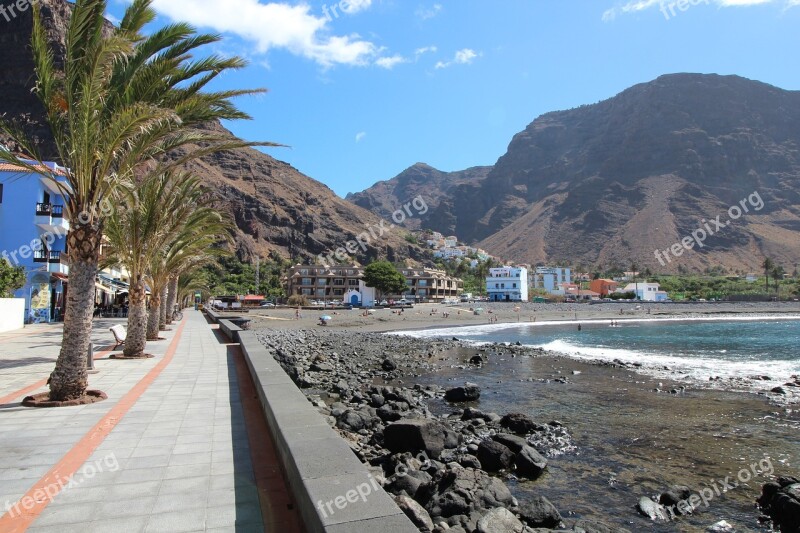 La Reptiles Playa Canary Islands Beach Coast