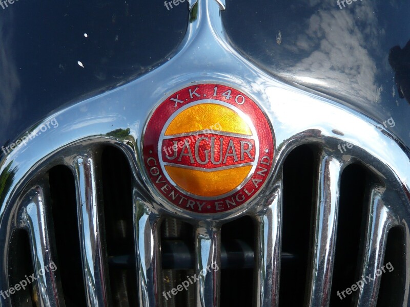 Grille Jaguar Emblem Free Photos