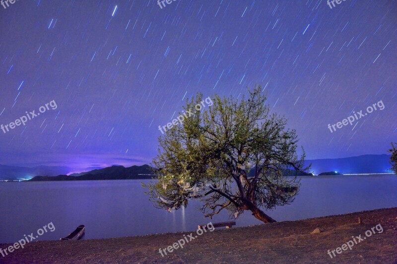 Long Exposure Star Night Starry Sky Tree