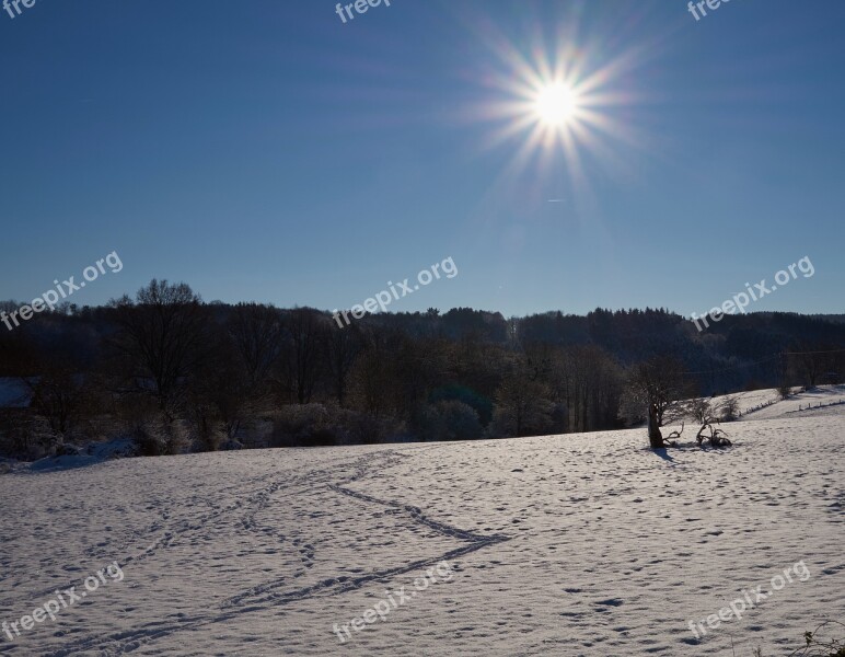 Snow Winter Sun Traces Wintry