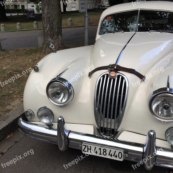 Auto Retro Jaguar White Oldtimer