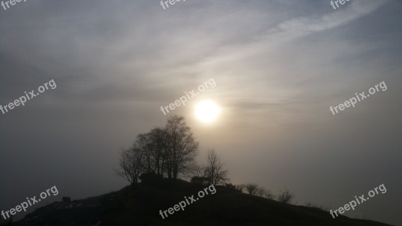 Fog Sun Nature Photography Trees Sea