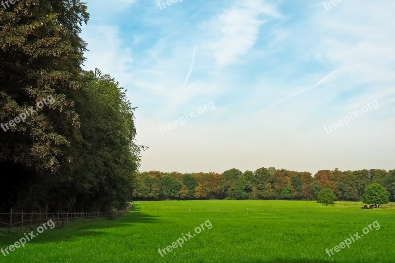 Landscape Nature Forest Summer Pasture