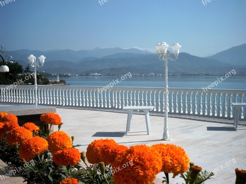 Flowers Boulevard Sea View Turkey Free Photos