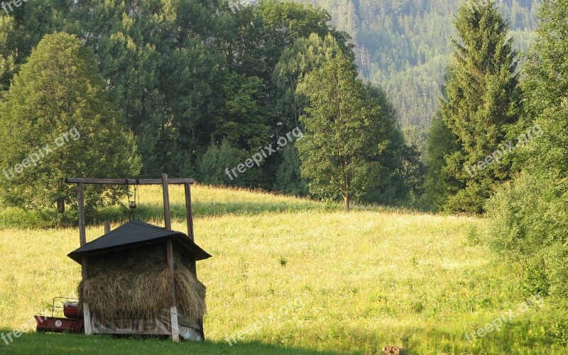 Mow Hay Meadow Pastures Krmelec