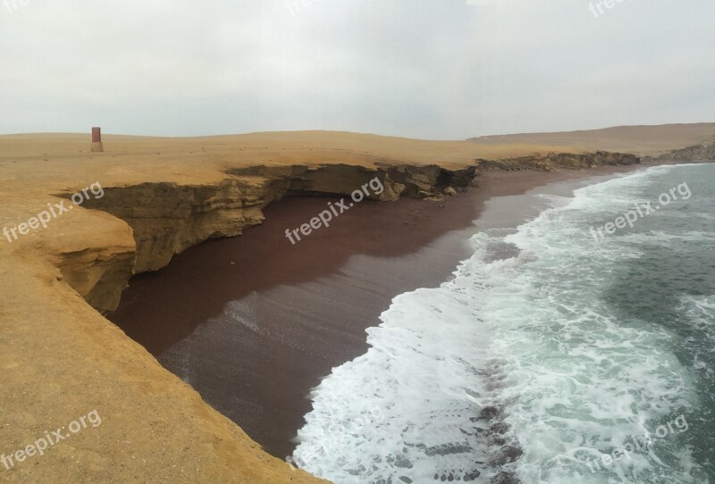 Pelican Ballestas Islands Paracas Peru Free Photos