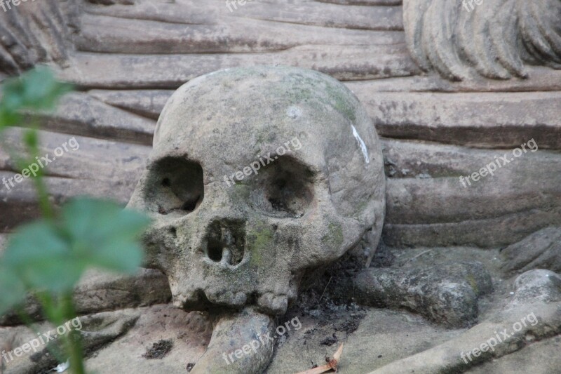 Skull Skull And Crossbones Stone Monument Bone