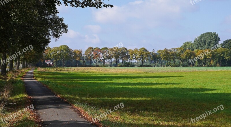 Autumn Landscape Shadow Emerge Colorful Avenue